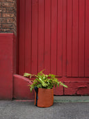 breathable fabric planters