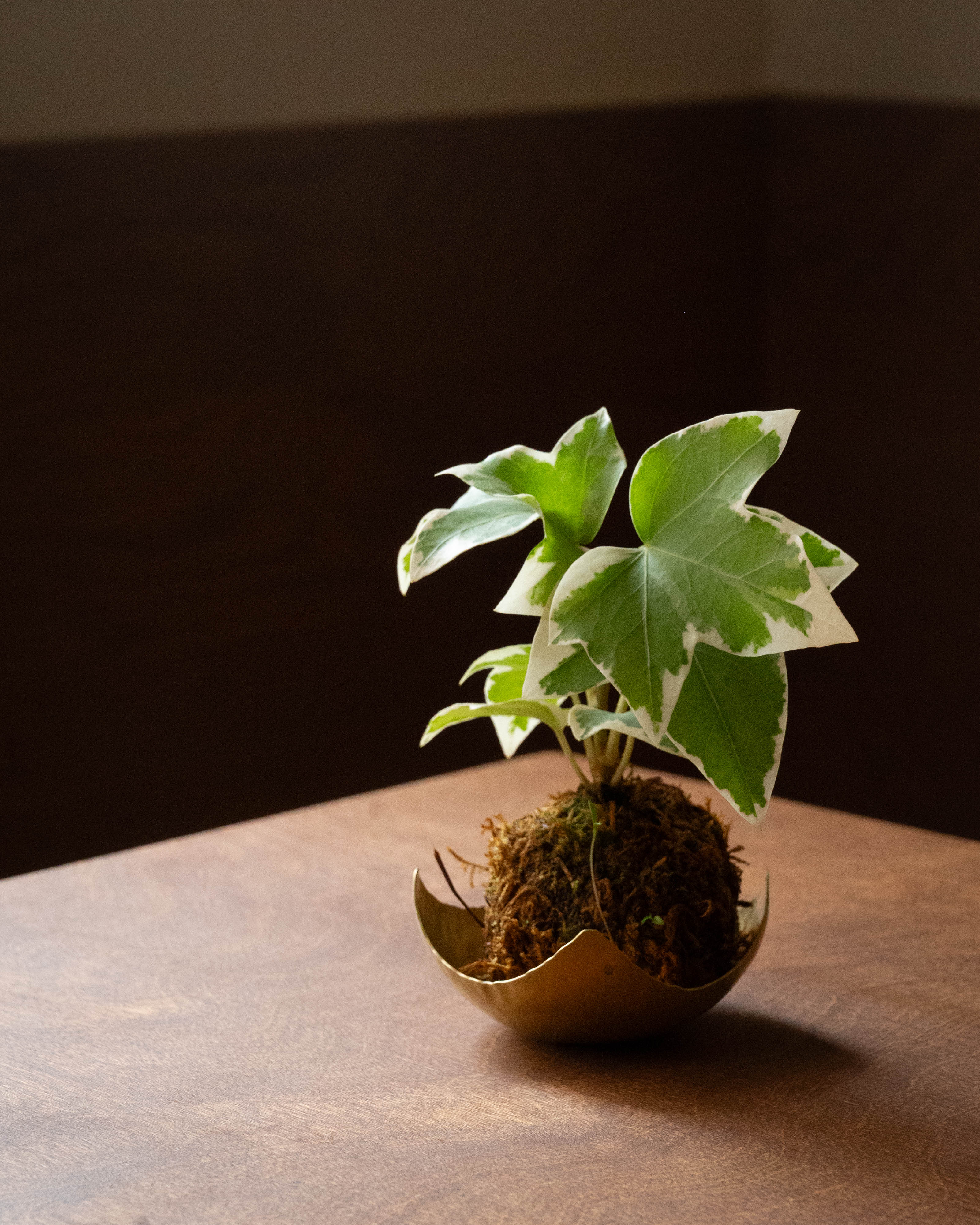 brass kokedama holder